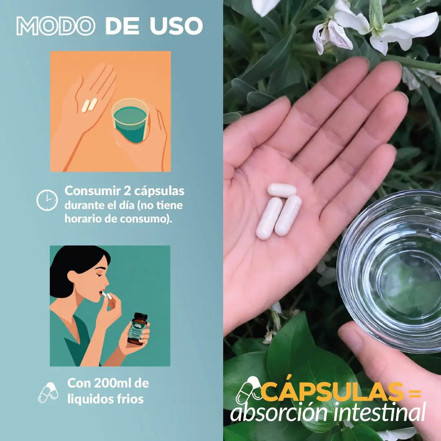 Cola de Pavo Cápsulas – Defensas y Antitumoral (7)