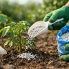 Cómo usar fertilizante mineral sin fallar