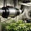 Mejor extractor para indoor: cuál elegir