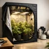Guía de carpas indoor para elegir tu primer espacio